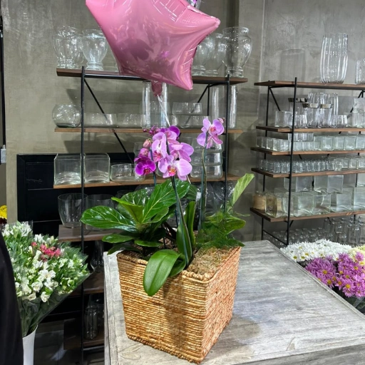Canasta de orquideas y globos